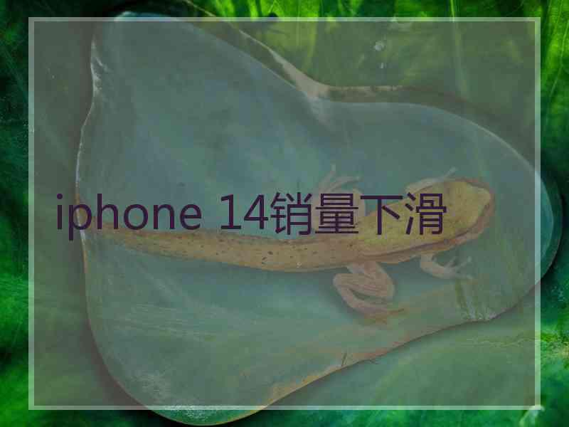 iphone 14销量下滑