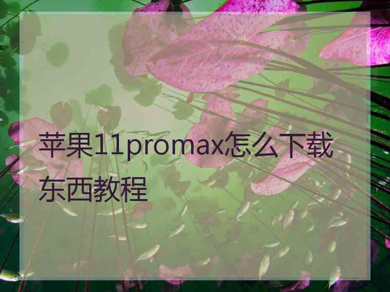 苹果11promax怎么下载东西教程