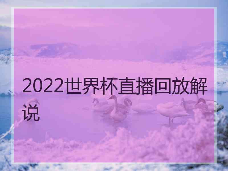 2022世界杯直播回放解说