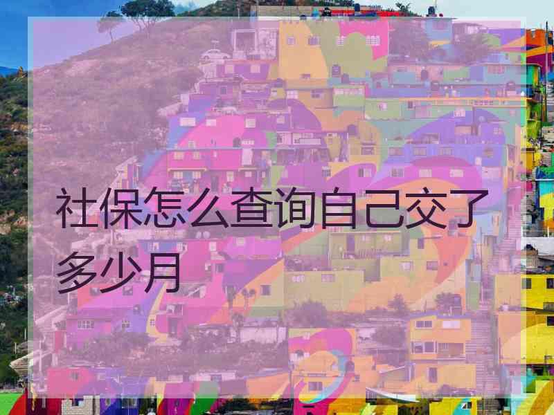 社保怎么查询自己交了多少月