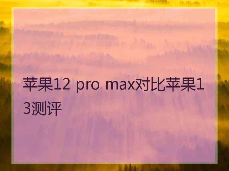 苹果12 pro max对比苹果13测评