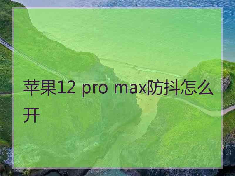 苹果12 pro max防抖怎么开