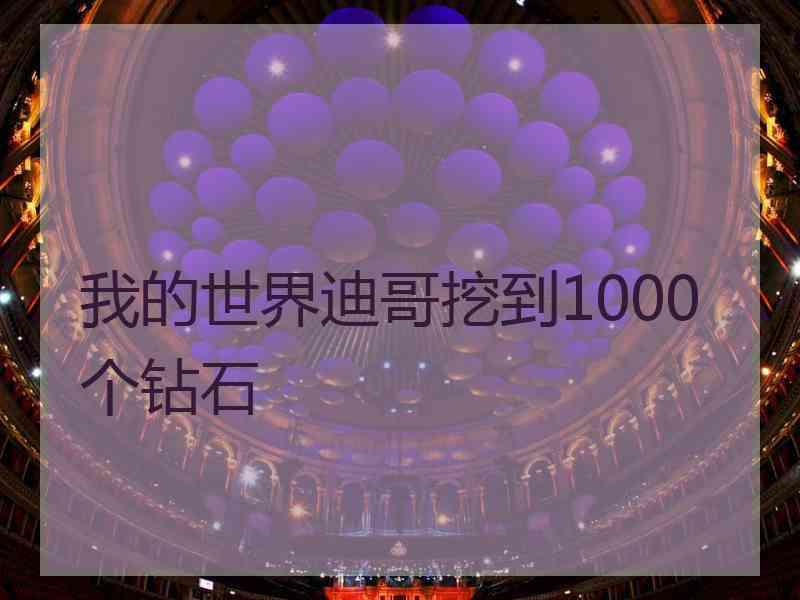 我的世界迪哥挖到1000个钻石