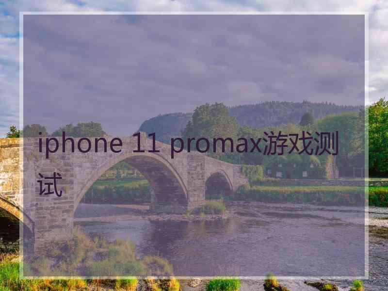 iphone 11 promax游戏测试