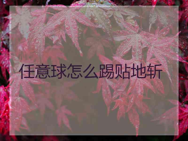 任意球怎么踢贴地斩