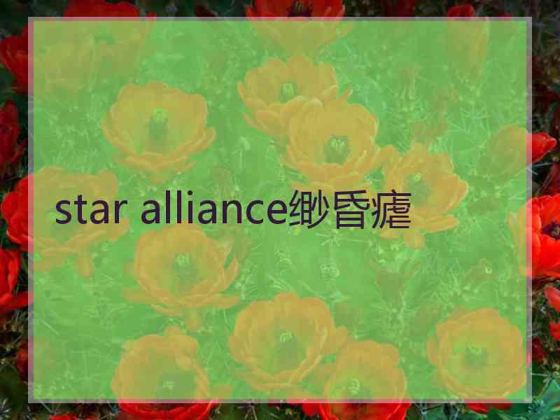 star alliance缈昏瘧