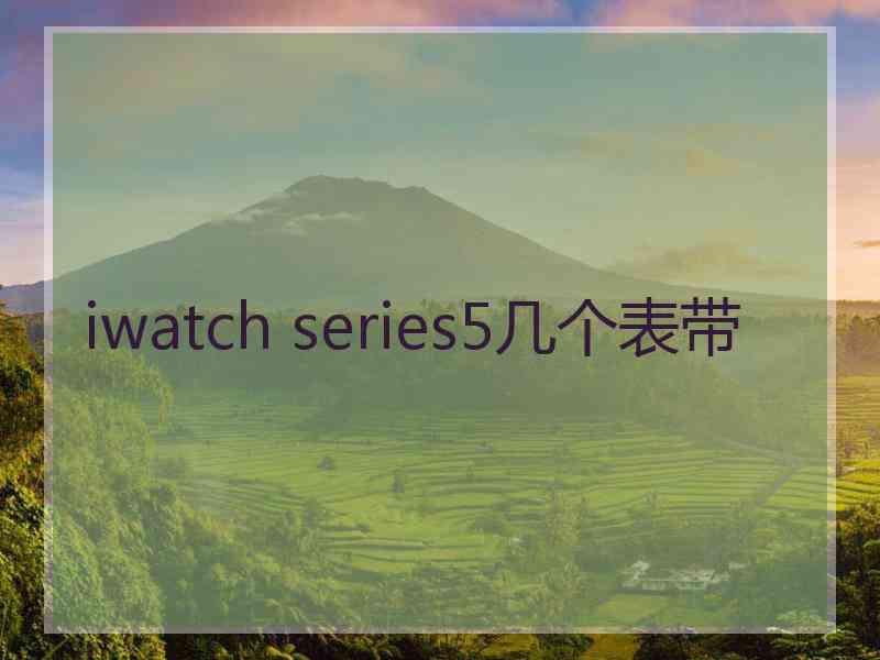 iwatch series5几个表带