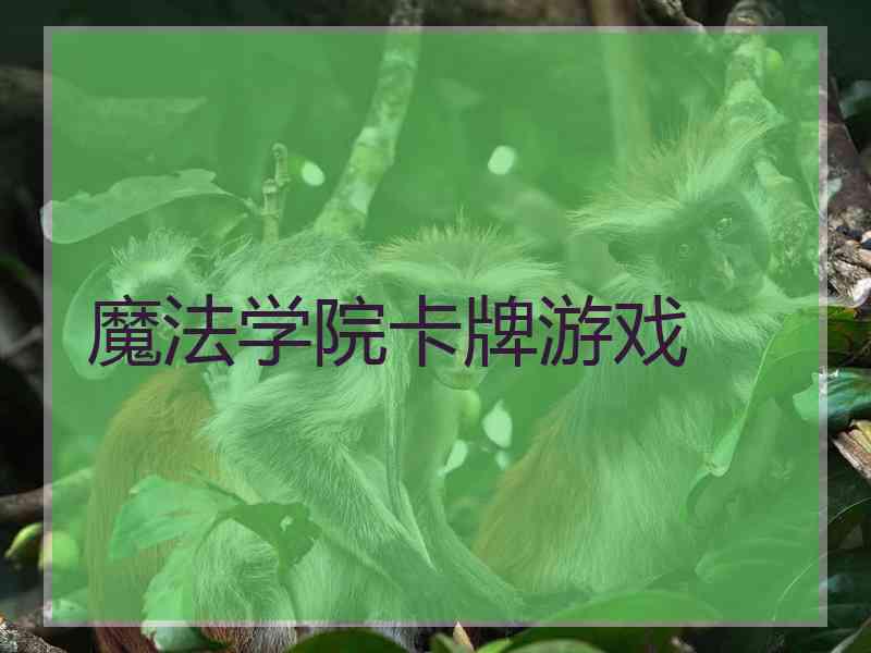 魔法学院卡牌游戏