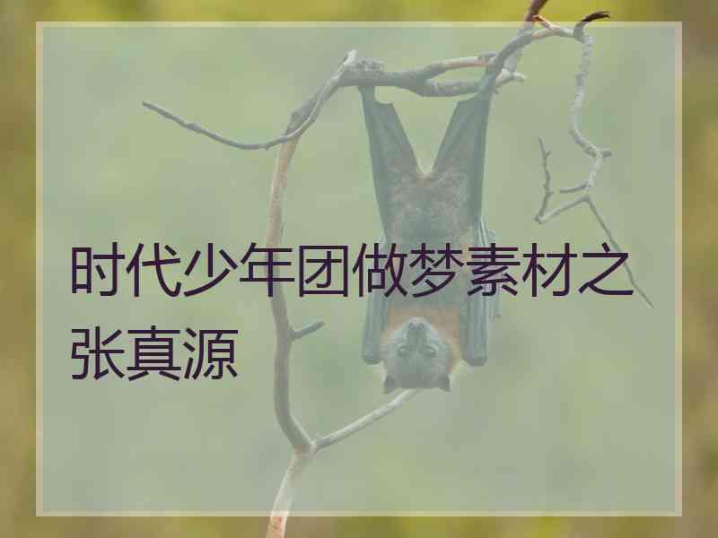 时代少年团做梦素材之张真源