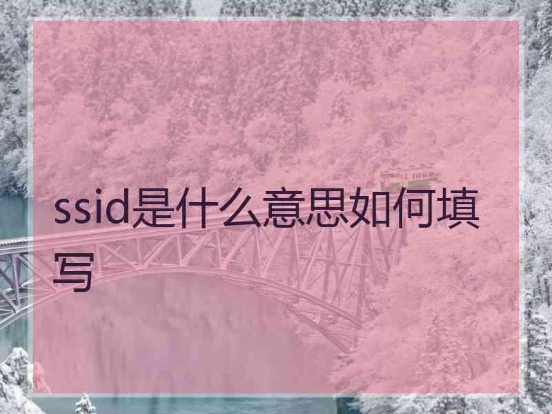 ssid是什么意思如何填写