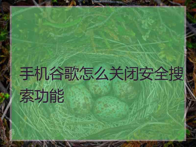 手机谷歌怎么关闭安全搜索功能