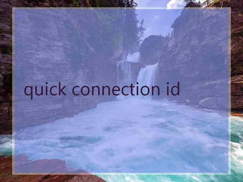 quick connection id