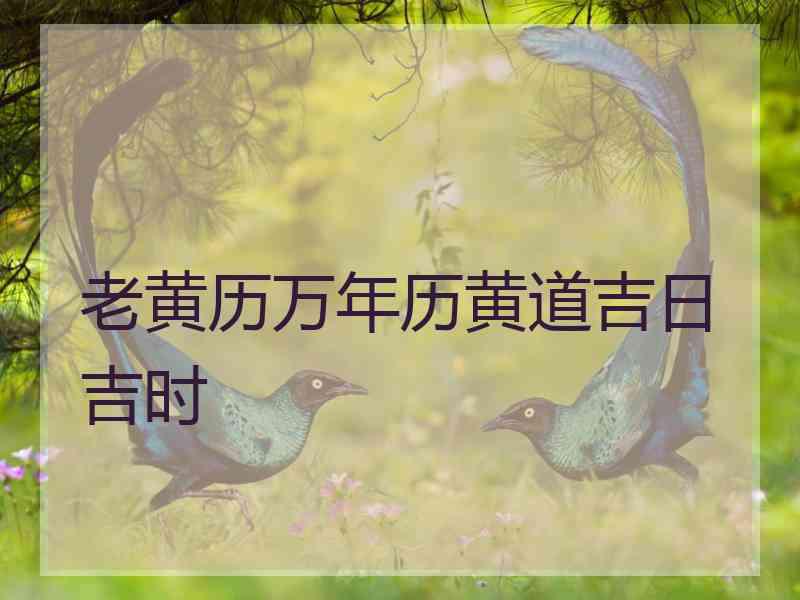 老黄历万年历黄道吉日吉时