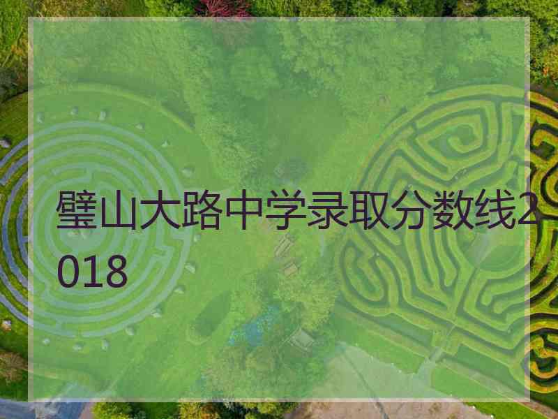 璧山大路中学录取分数线2018