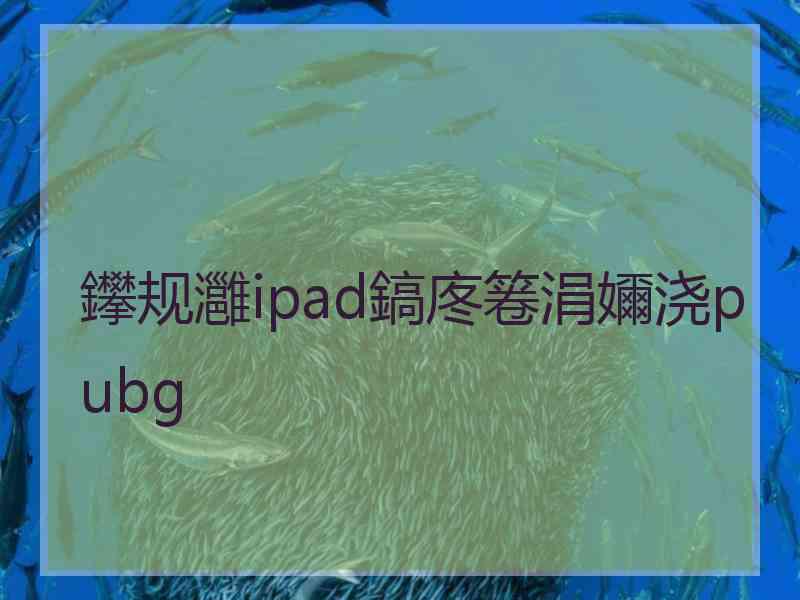 鑻规灉ipad鎬庝箞涓嬭浇pubg