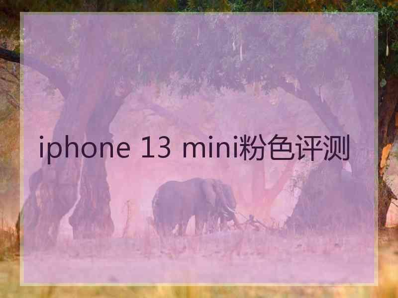 iphone 13 mini粉色评测