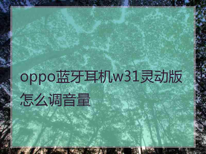 oppo蓝牙耳机w31灵动版怎么调音量