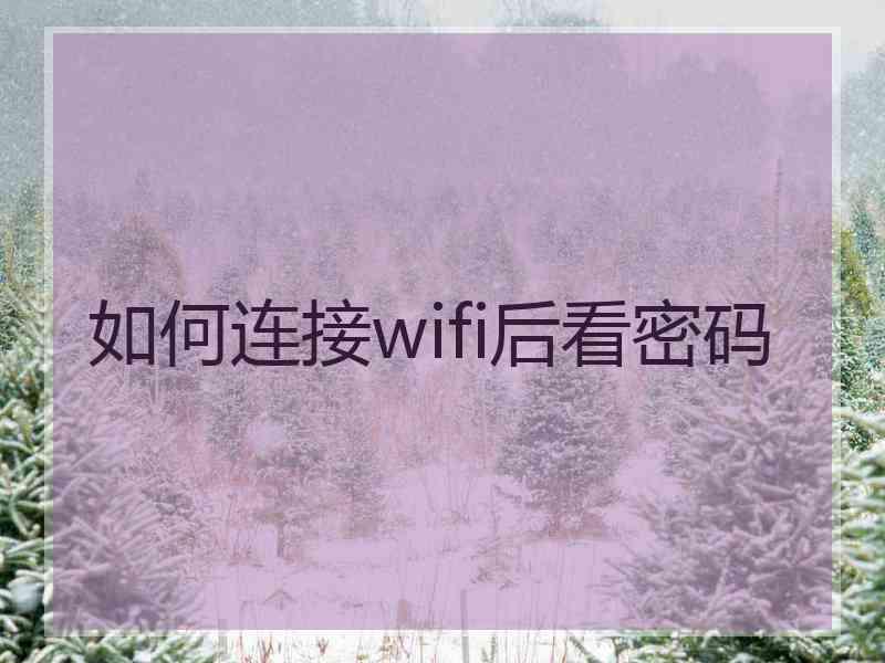 如何连接wifi后看密码