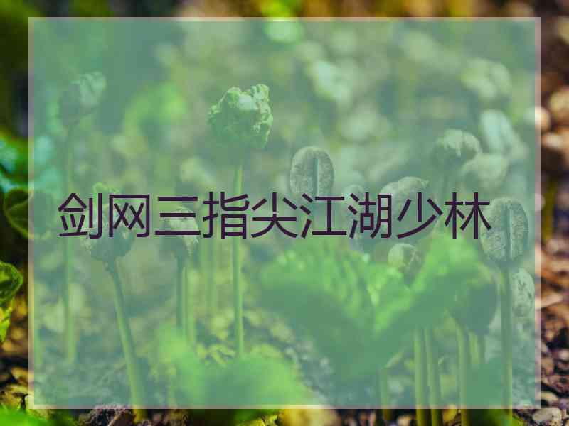 剑网三指尖江湖少林