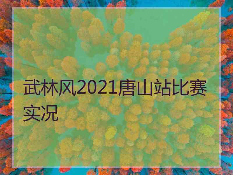 武林风2021唐山站比赛实况