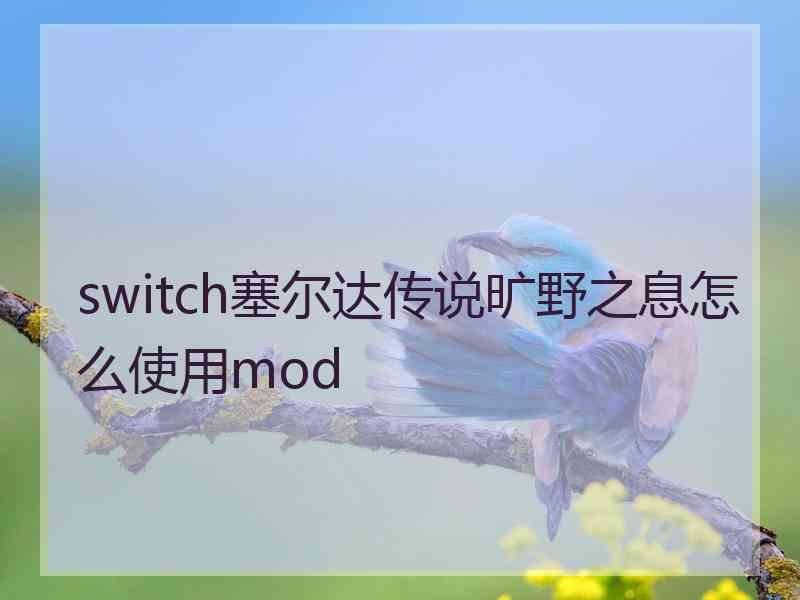 switch塞尔达传说旷野之息怎么使用mod