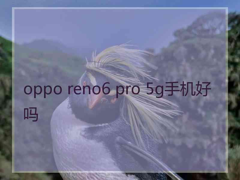 oppo reno6 pro 5g手机好吗