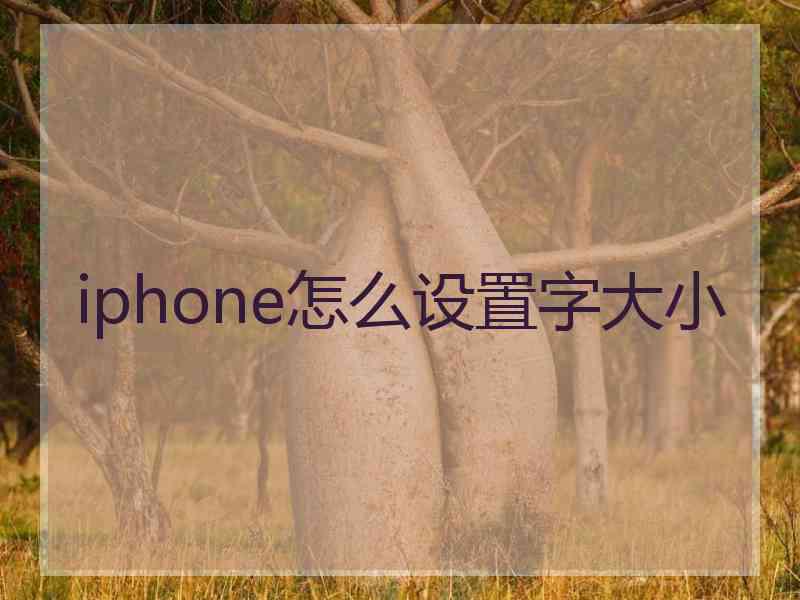 iphone怎么设置字大小