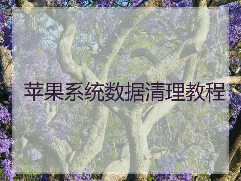 苹果系统数据清理教程