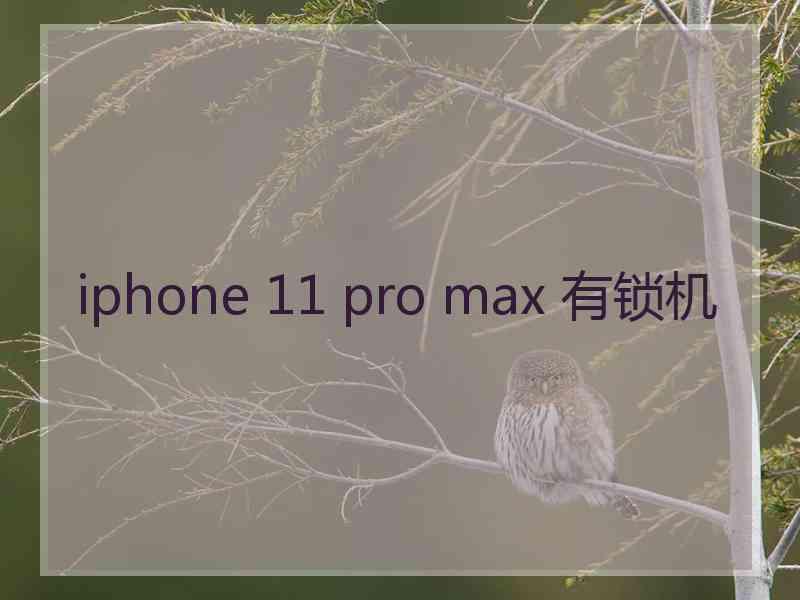 iphone 11 pro max 有锁机