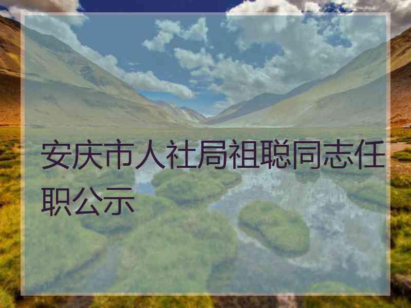 安庆市人社局祖聪同志任职公示