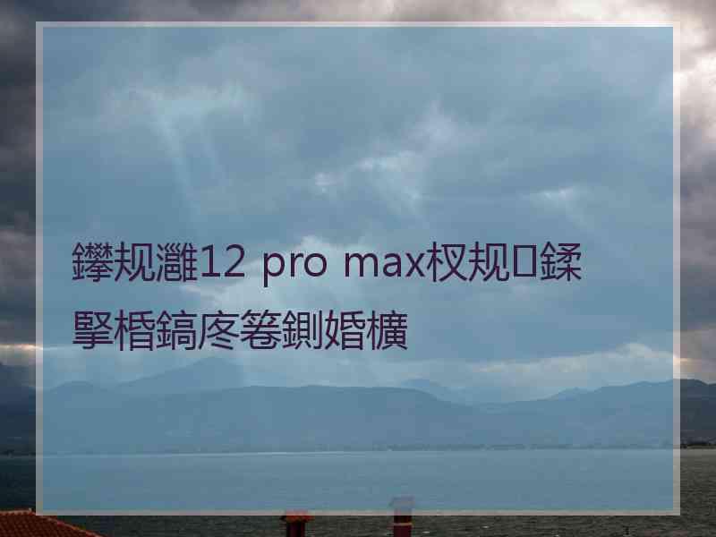 鑻规灉12 pro max杈规鍒掔棔鎬庝箞鍘婚櫎