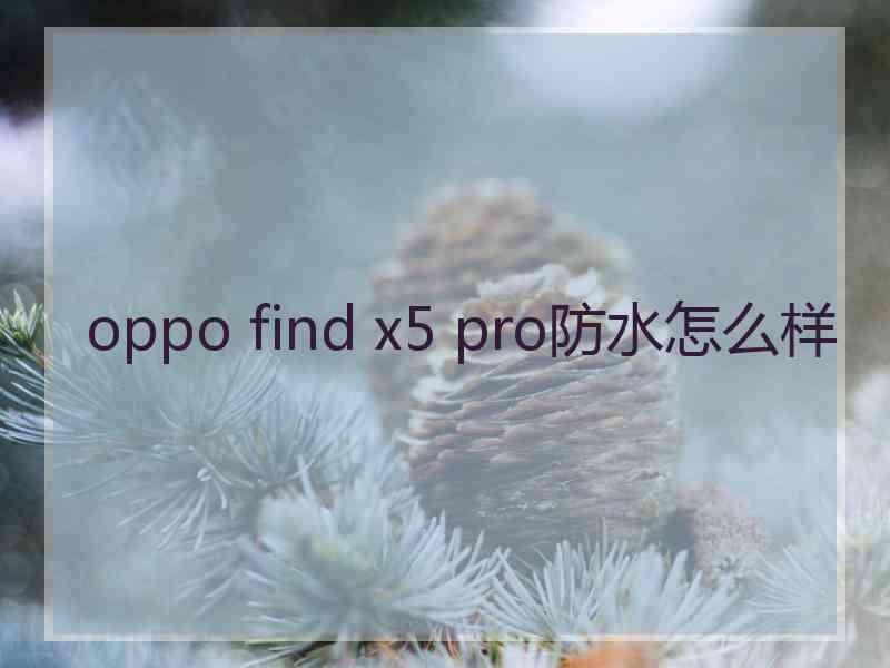 oppo find x5 pro防水怎么样