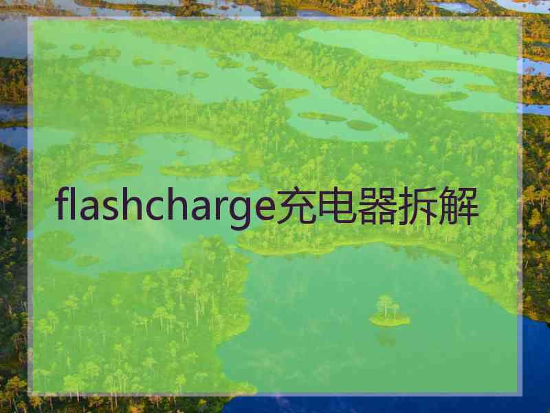 flashcharge充电器拆解