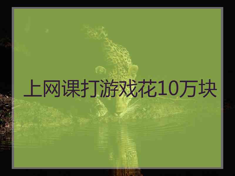 上网课打游戏花10万块