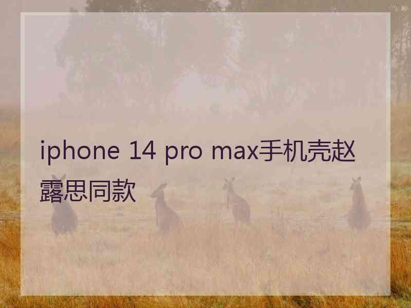 iphone 14 pro max手机壳赵露思同款