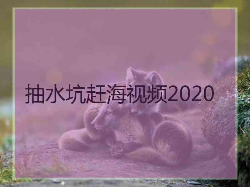 抽水坑赶海视频2020