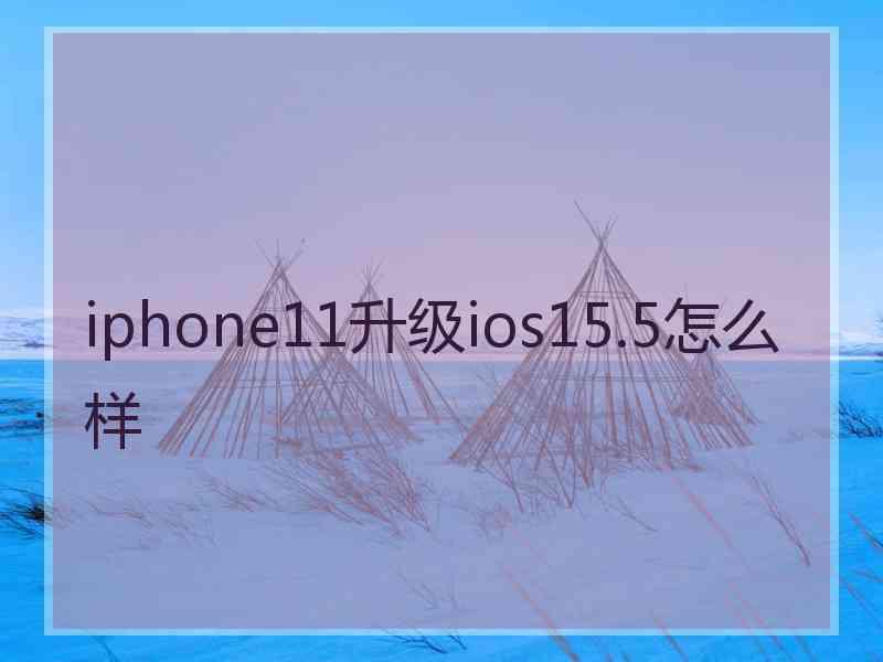 iphone11升级ios15.5怎么样