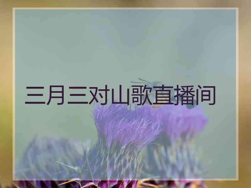 三月三对山歌直播间