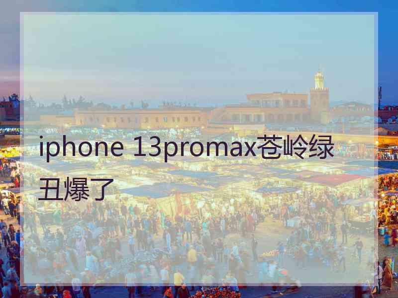 iphone 13promax苍岭绿丑爆了