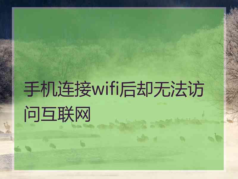 手机连接wifi后却无法访问互联网