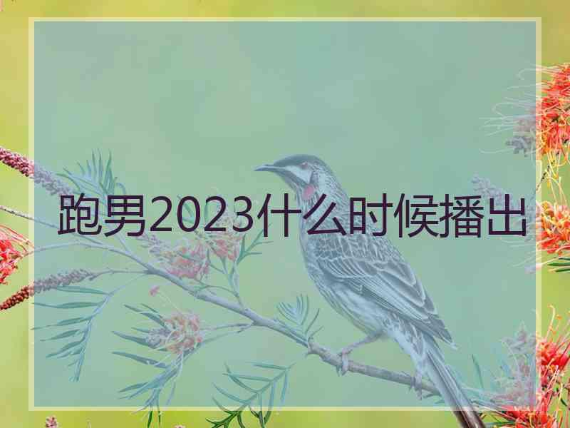 跑男2023什么时候播出