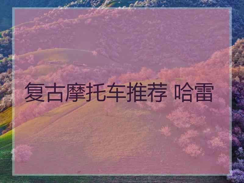 复古摩托车推荐 哈雷