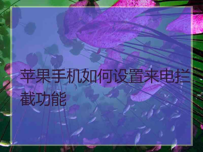 苹果手机如何设置来电拦截功能