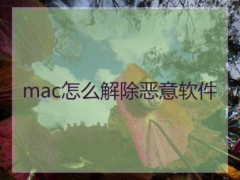 mac怎么解除恶意软件