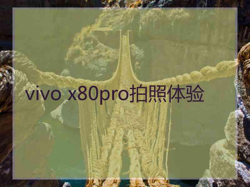 vivo x80pro拍照体验