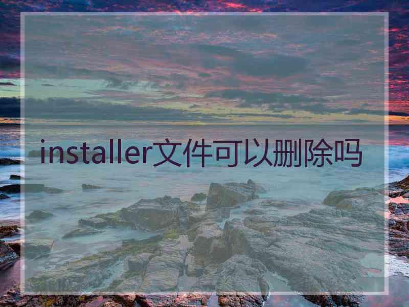 installer文件可以删除吗