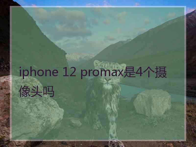 iphone 12 promax是4个摄像头吗