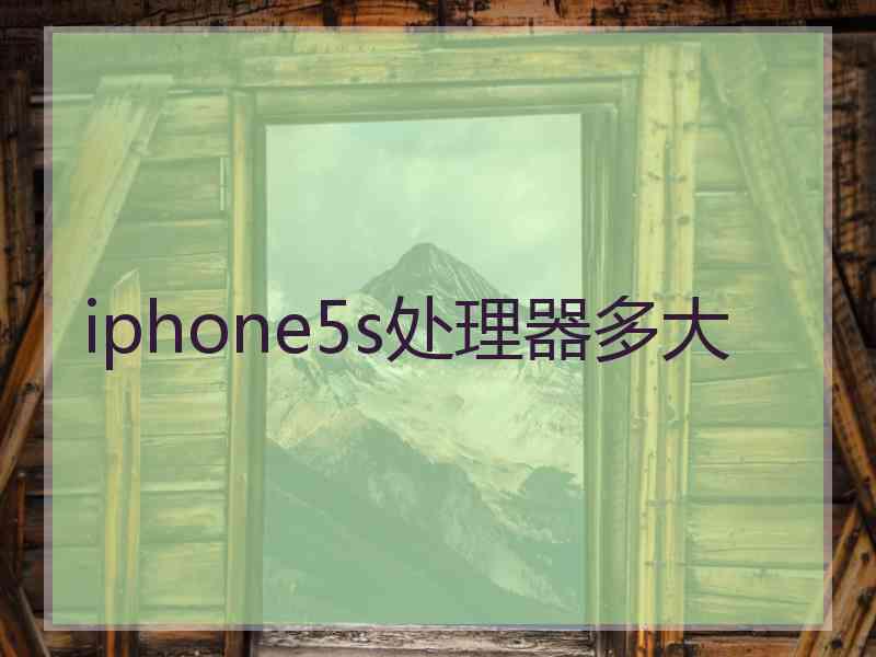 iphone5s处理器多大