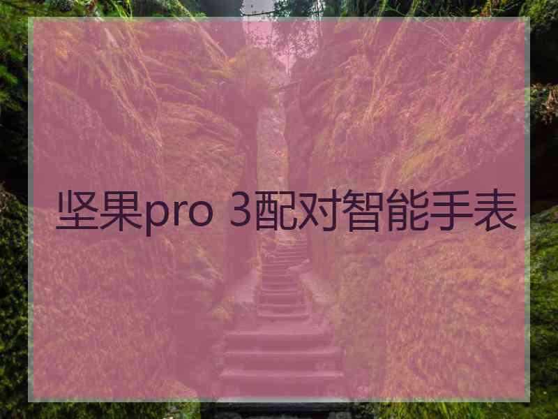 坚果pro 3配对智能手表