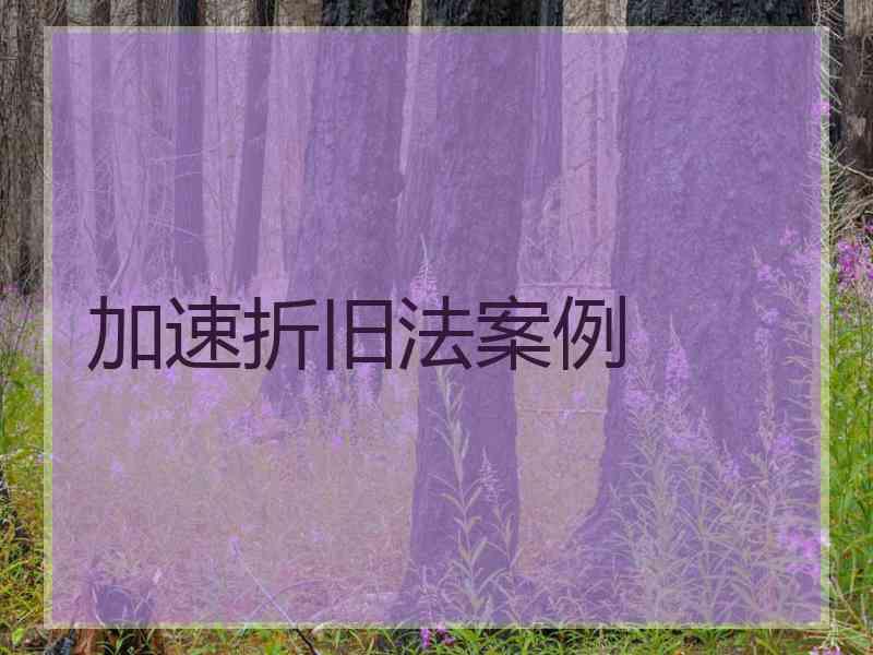 加速折旧法案例